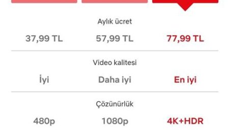 Netflix Fiyat – 2024 Güncel Abonelik Ücretleri