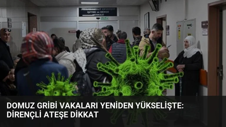 Domuz Gribi Vakaları Yeniden Yükselişte: Dirençli Ateşe Dikkat