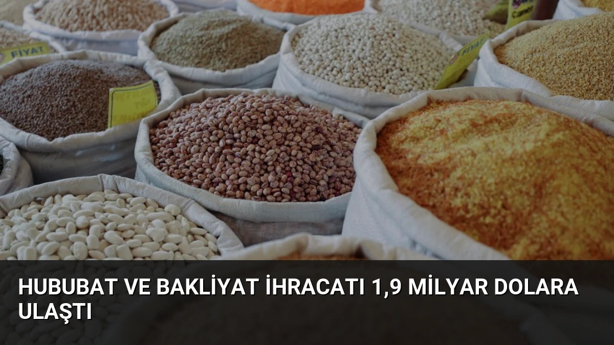 Hububat ve bakliyat ihracatı 1,9 milyar dolara ulaştı