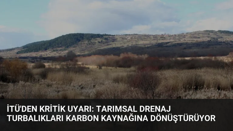 İTÜ’den kritik uyarı: Tarımsal drenaj turbalıkları karbon kaynağına dönüştürüyor