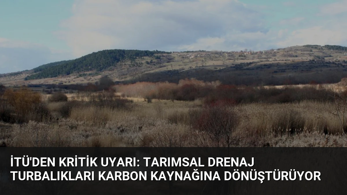 İTÜ’den kritik uyarı: Tarımsal drenaj turbalıkları karbon kaynağına dönüştürüyor