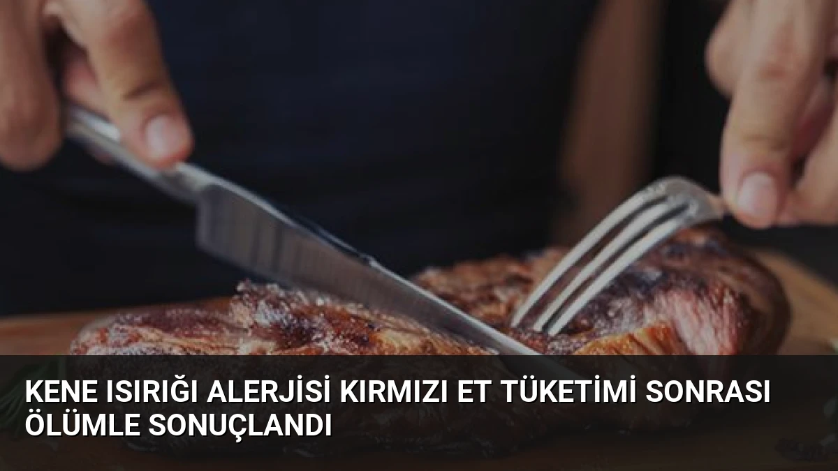Kene Isırığı Alerjisi Kırmızı Et Tüketimi Sonrası Ölümle Sonuçlandı