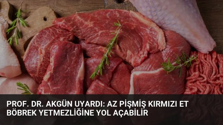 Prof. Dr. Akgün uyardı: Az pişmiş kırmızı et böbrek yetmezliğine yol açabilir