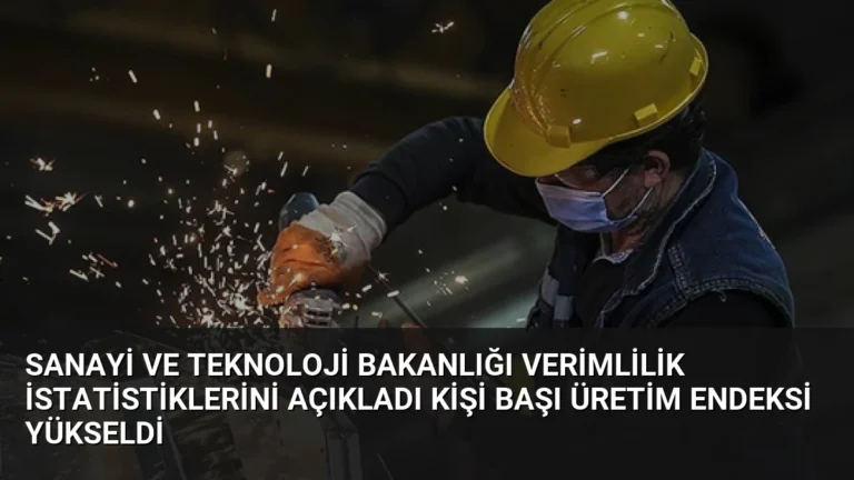 Sanayi ve Teknoloji Bakanlığı Verimlilik İstatistiklerini Açıkladı Kişi Başı Üretim Endeksi Yükseldi
