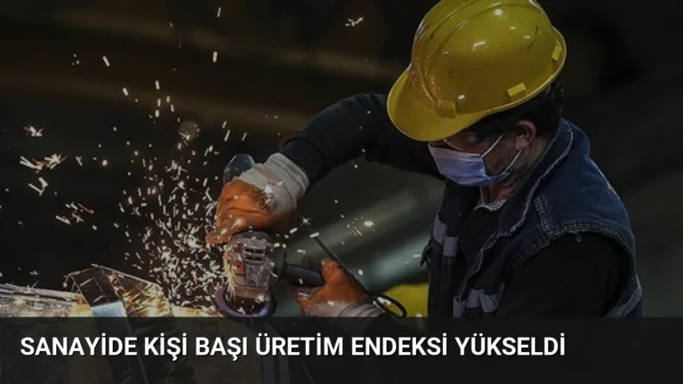 Sanayide Kişi Başı Üretim Endeksi Yükseldi