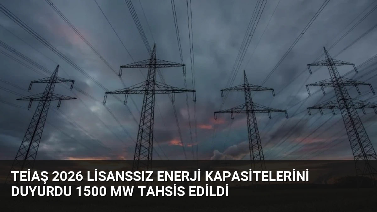 TEİAŞ 2026 Lisanssız Enerji Kapasitelerini Duyurdu 1500 MW Tahsis Edildi
