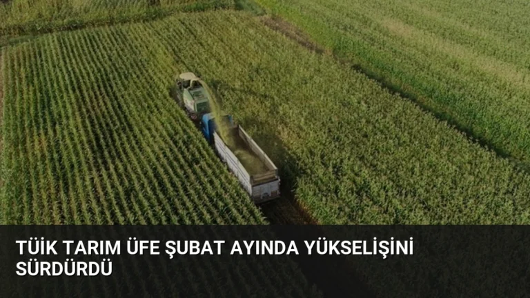 TÜİK Tarım ÜFE Şubat Ayında Yükselişini Sürdürdü