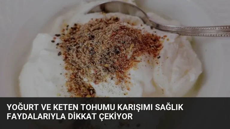 Yoğurt ve Keten Tohumu Karışımı Sağlık Faydalarıyla Dikkat Çekiyor