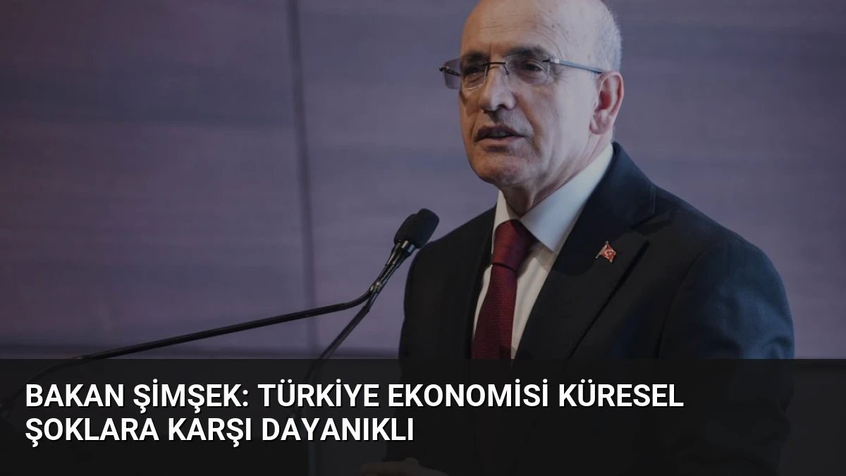 Bakan Şimşek: Türkiye Ekonomisi Küresel Şoklara Karşı Dayanıklı