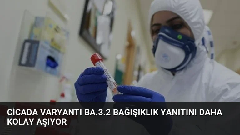 Cicada Varyantı BA.3.2 Bağışıklık Yanıtını Daha Kolay Aşıyor