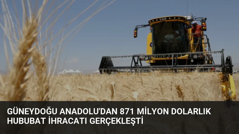 Güneydoğu Anadolu’dan 871 Milyon Dolarlık Hububat İhracatı Gerçekleşti