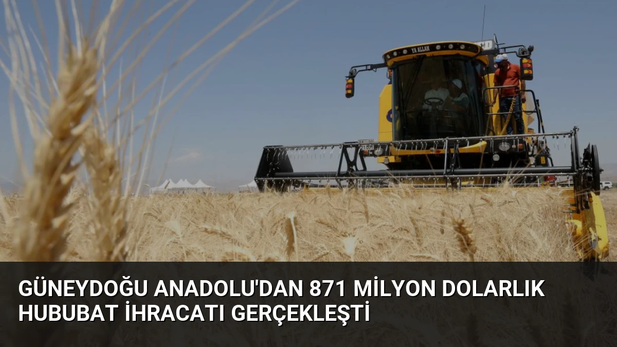 Güneydoğu Anadolu’dan 871 Milyon Dolarlık Hububat İhracatı Gerçekleşti