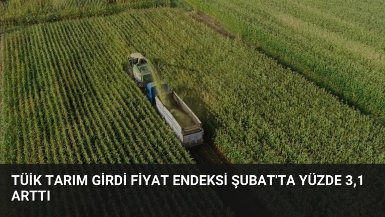 TÜİK Tarım Girdi Fiyat Endeksi Şubat’ta Yüzde 3,1 Arttı