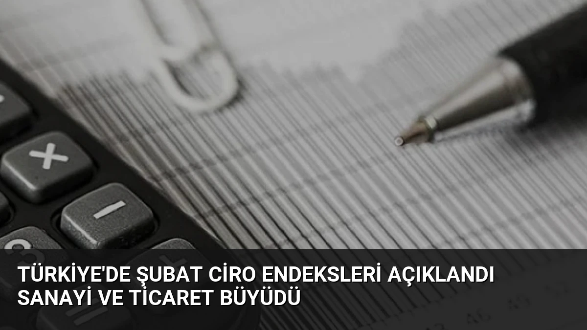 Türkiye’de Şubat Ciro Endeksleri Açıklandı Sanayi ve Ticaret Büyüdü