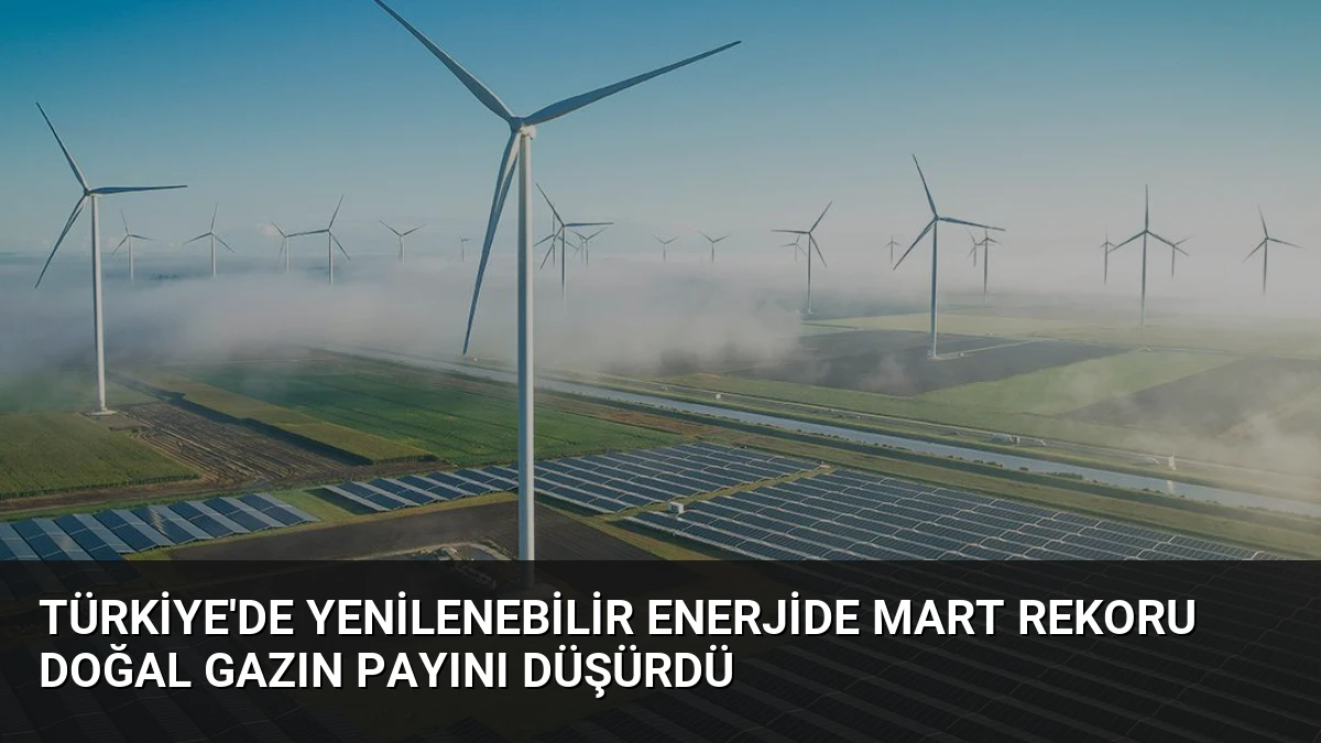 Türkiye’de Yenilenebilir Enerjide Mart Rekoru Doğal Gazın Payını Düşürdü