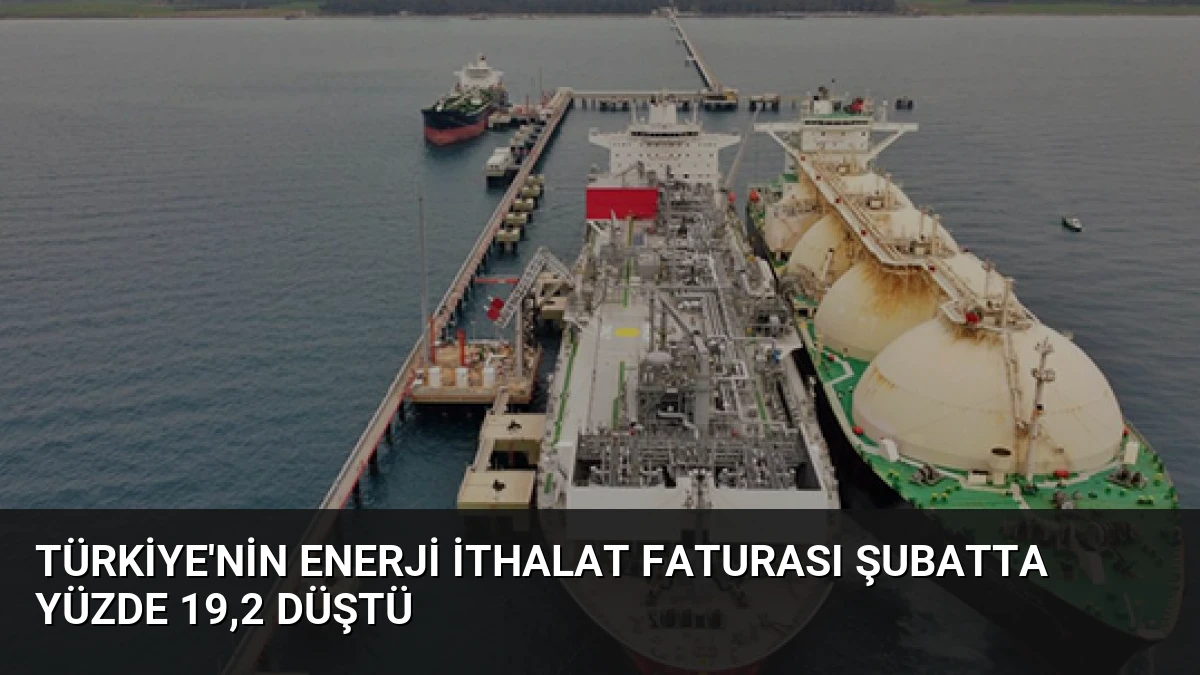 Türkiye’nin Enerji İthalat Faturası Şubatta Yüzde 19,2 Düştü