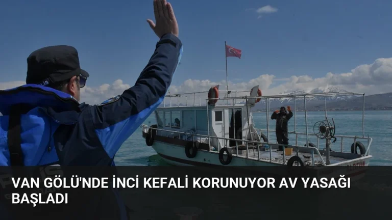 Van Gölü’nde İnci Kefali Korunuyor Av Yasağı Başladı