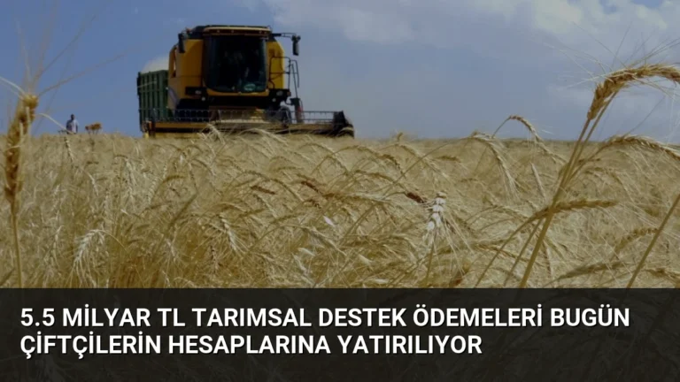 5.5 Milyar TL Tarımsal Destek Ödemeleri Bugün Çiftçilerin Hesaplarına Yatırılıyor