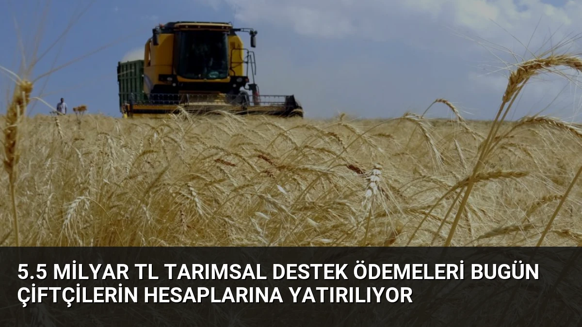 5.5 Milyar TL Tarımsal Destek Ödemeleri Bugün Çiftçilerin Hesaplarına Yatırılıyor