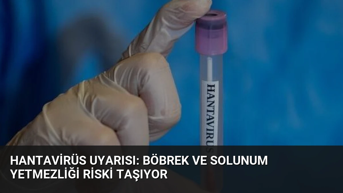 Hantavirüs Uyarısı: Böbrek ve Solunum Yetmezliği Riski Taşıyor