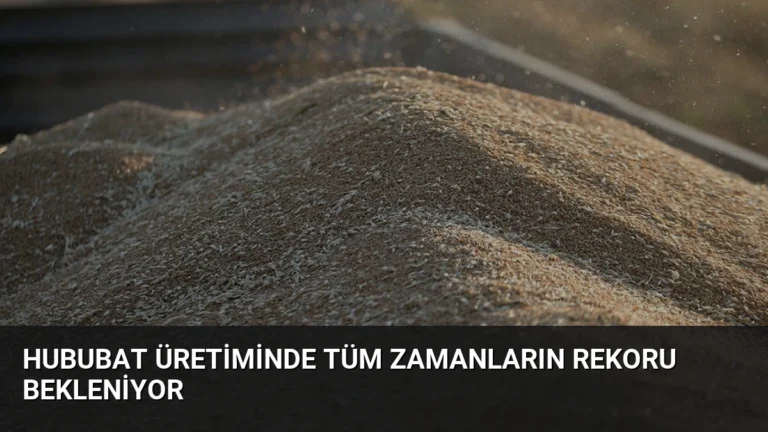 Hububat üretiminde tüm zamanların rekoru bekleniyor