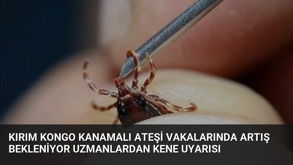 Kırım Kongo Kanamalı Ateşi Vakalarında Artış Bekleniyor Uzmanlardan Kene Uyarısı