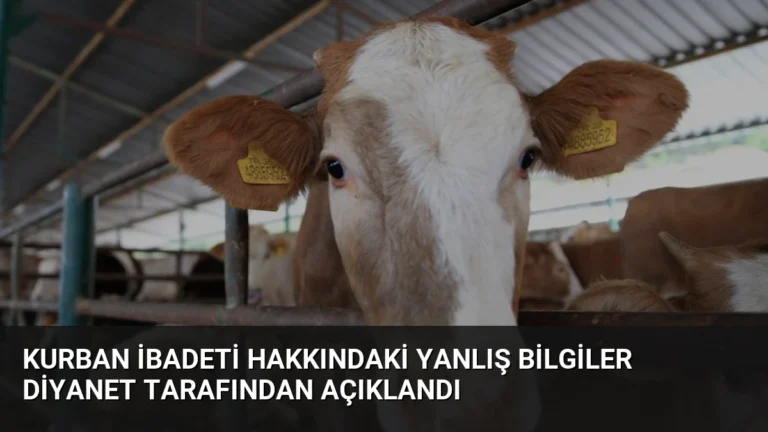 Kurban İbadeti Hakkındaki Yanlış Bilgiler Diyanet Tarafından Açıklandı