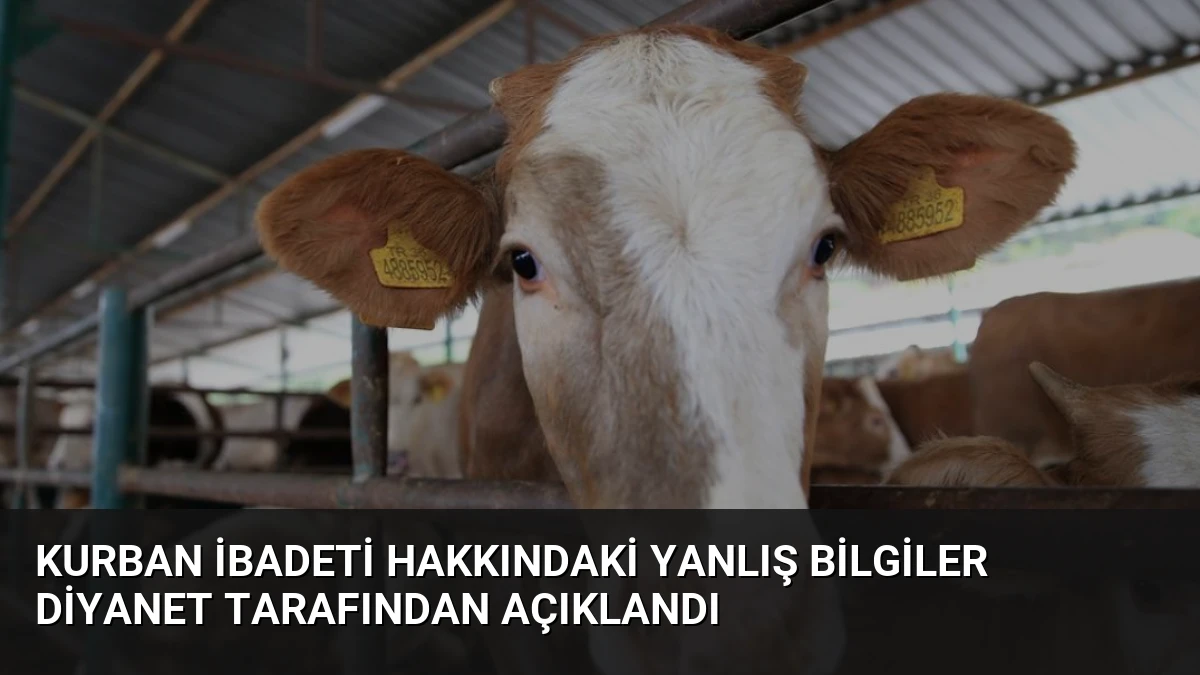 Kurban İbadeti Hakkındaki Yanlış Bilgiler Diyanet Tarafından Açıklandı