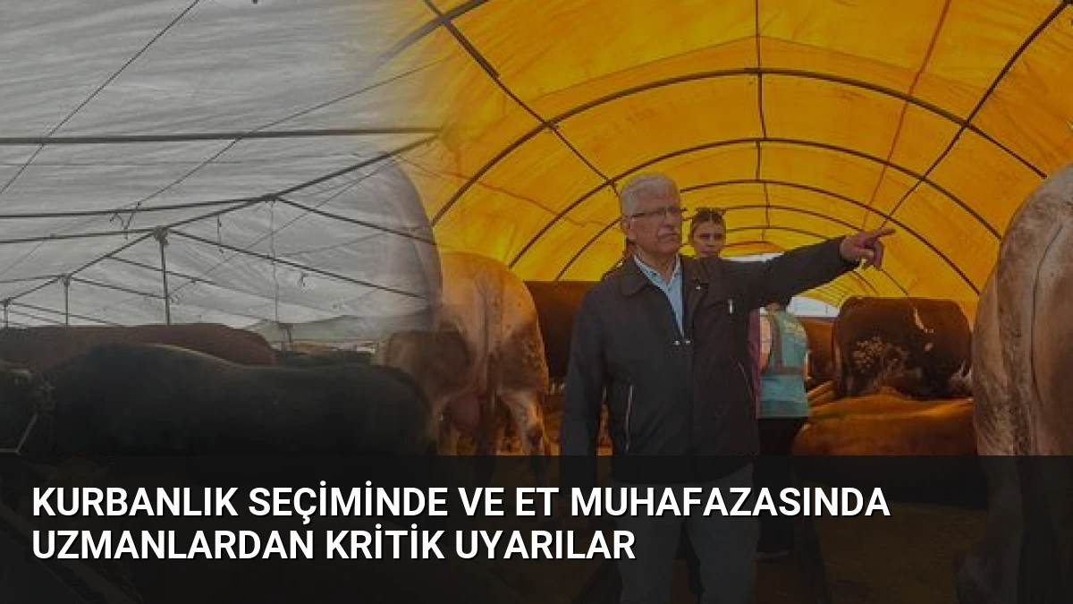Kurbanlık Seçiminde ve Et Muhafazasında Uzmanlardan Kritik Uyarılar
