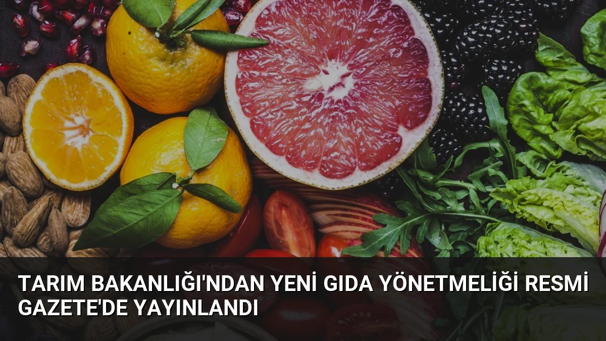 Tarım Bakanlığı’ndan Yeni Gıda Yönetmeliği Resmi Gazete’de Yayınlandı