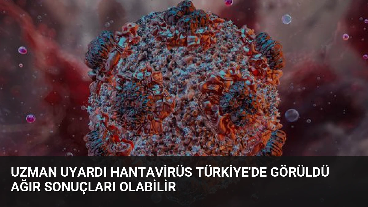 Uzman Uyardı Hantavirüs Türkiye’de Görüldü Ağır Sonuçları Olabilir