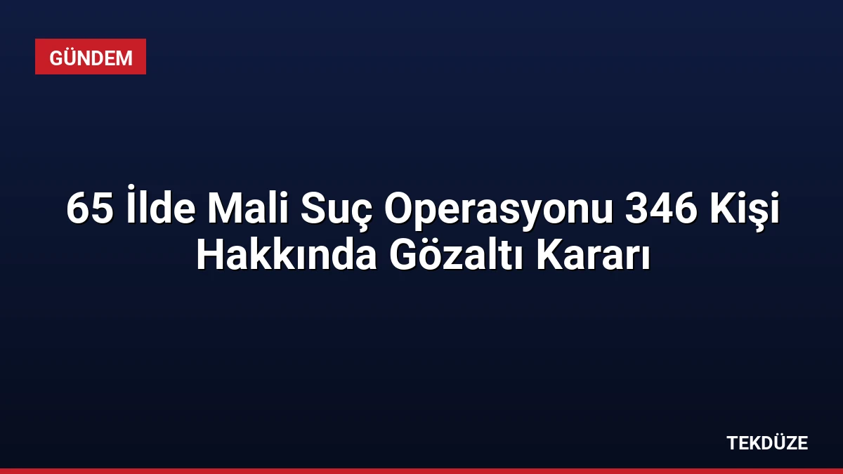 65 İlde Mali Suç Operasyonu 346 Kişi Hakkında Gözaltı Kararı