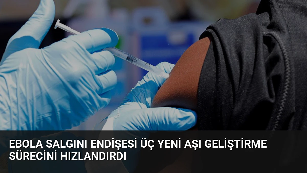 Ebola Salgını Endişesi Üç Yeni Aşı Geliştirme Sürecini Hızlandırdı