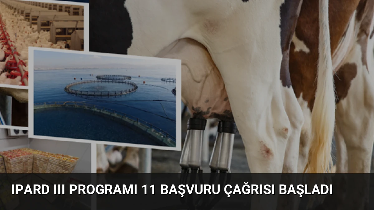 IPARD III Programı 11 Başvuru Çağrısı Başladı