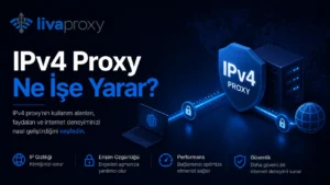 IPv4 Proxy Ne İşe Yarar?