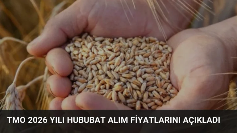 TMO 2026 Yılı Hububat Alım Fiyatlarını Açıkladı