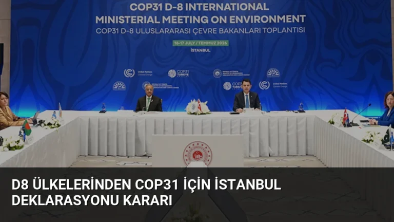 D8 Ülkelerinden COP31 İçin İstanbul Deklarasyonu Kararı