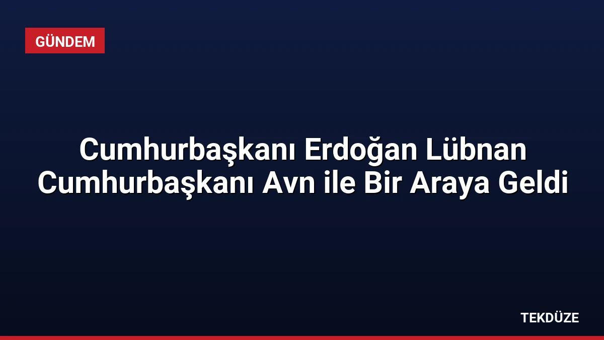 Cumhurbaşkanı Erdoğan Lübnan Cumhurbaşkanı Avn ile Bir Araya Geldi