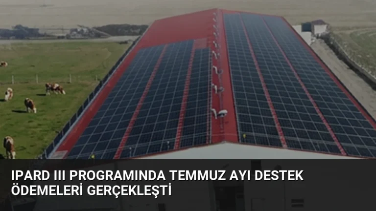 IPARD III Programında Temmuz Ayı Destek Ödemeleri Gerçekleşti