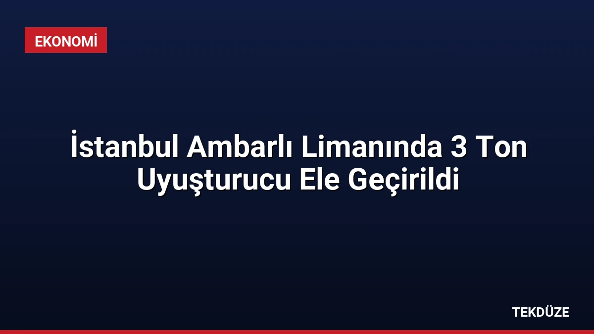 İstanbul Ambarlı Limanında 3 Ton Uyuşturucu Ele Geçirildi