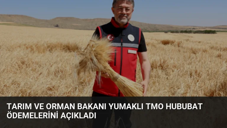 Tarım ve Orman Bakanı Yumaklı TMO Hububat Ödemelerini Açıkladı