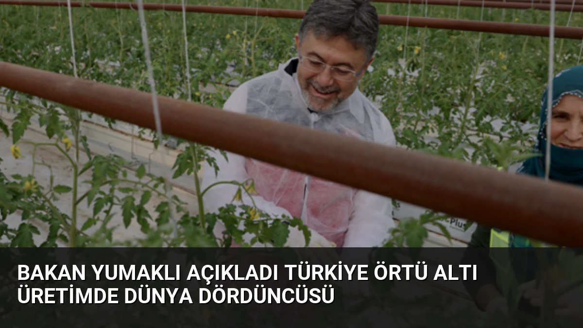 Bakan Yumaklı Açıkladı Türkiye Örtü Altı Üretimde Dünya Dördüncüsü