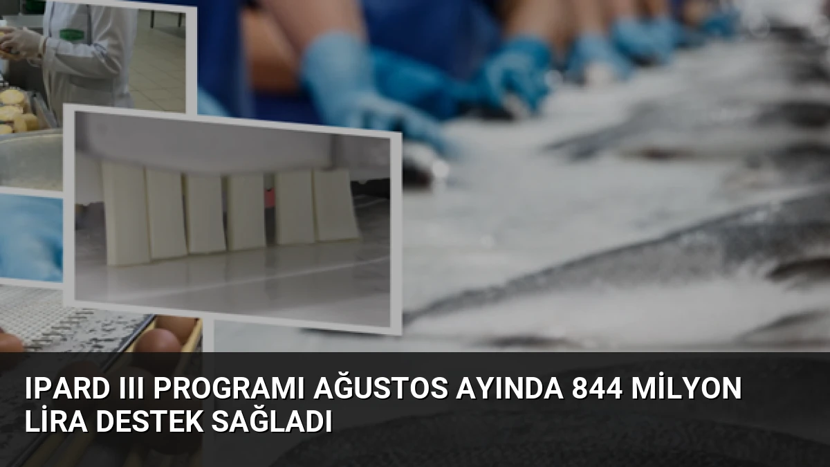 IPARD III Programı Ağustos Ayında 844 Milyon Lira Destek Sağladı
