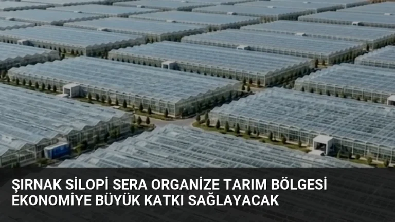 Şırnak Silopi Sera Organize Tarım Bölgesi Ekonomiye Büyük Katkı Sağlayacak