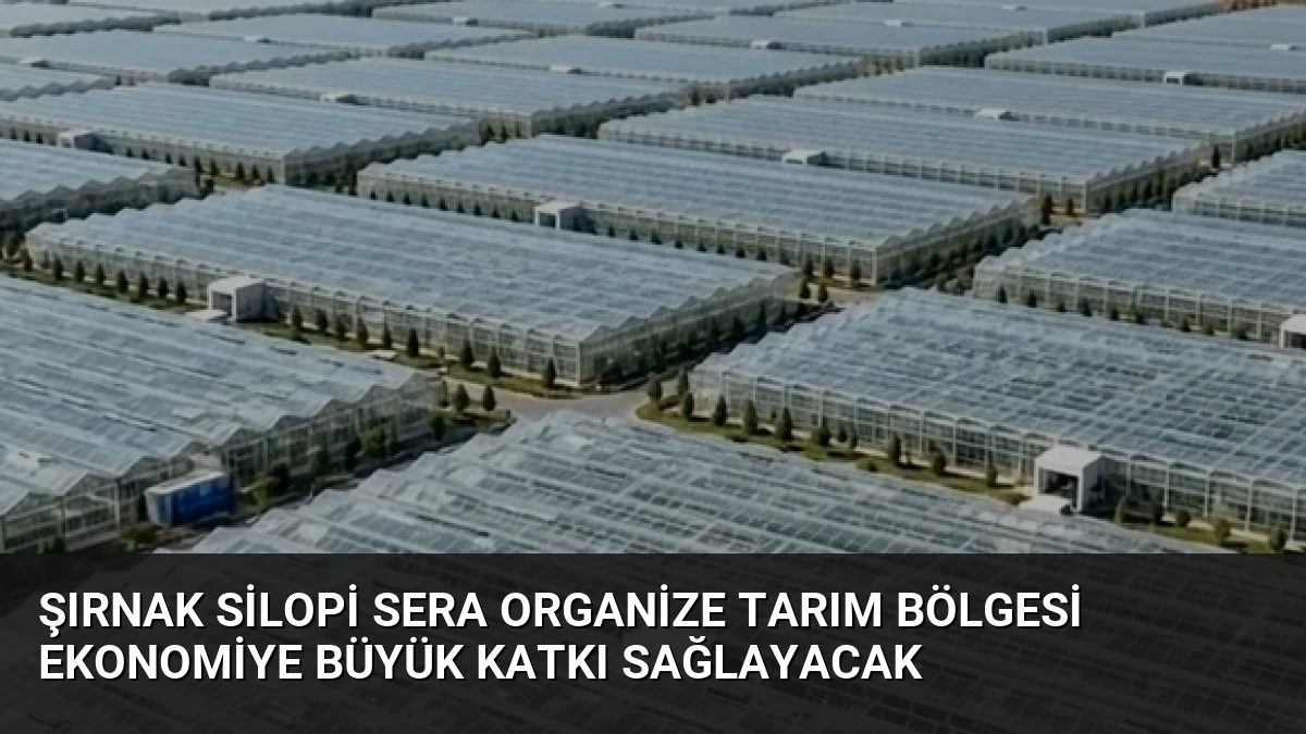Şırnak Silopi Sera Organize Tarım Bölgesi Ekonomiye Büyük Katkı Sağlayacak