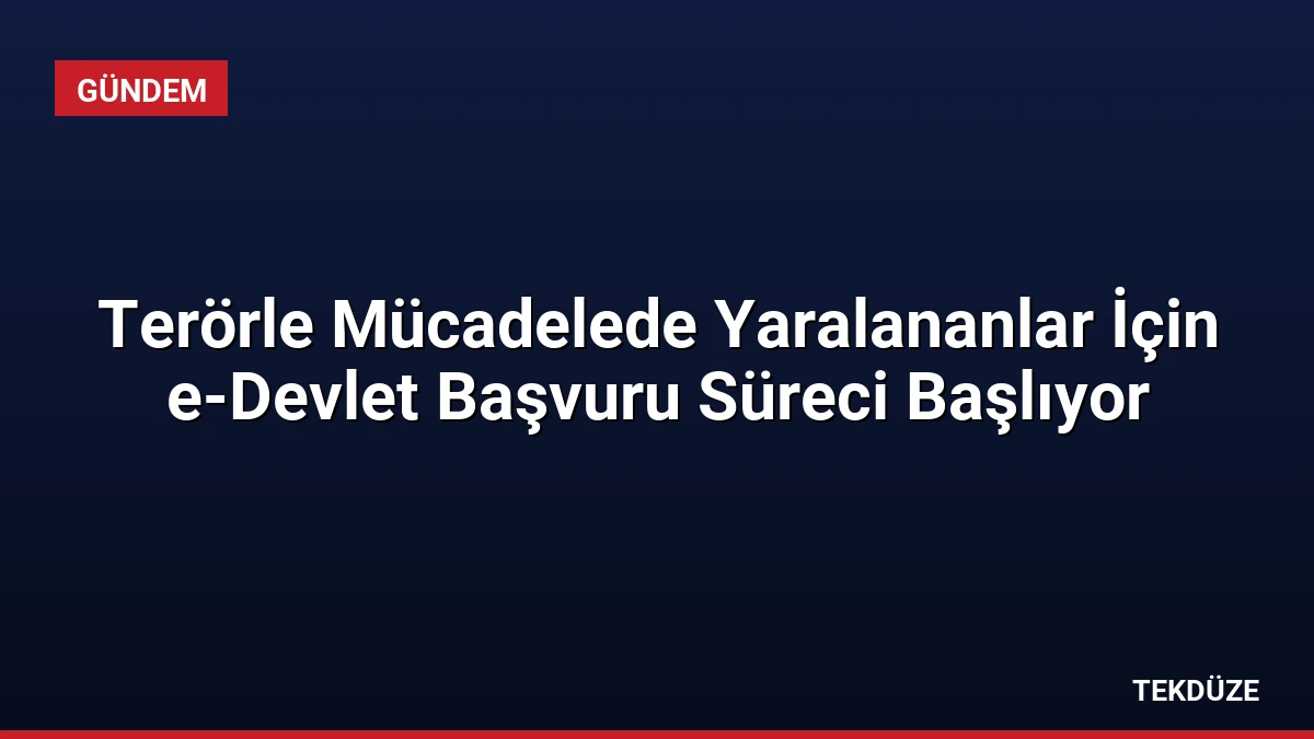 Terörle Mücadelede Yaralananlar İçin e-Devlet Başvuru Süreci Başlıyor