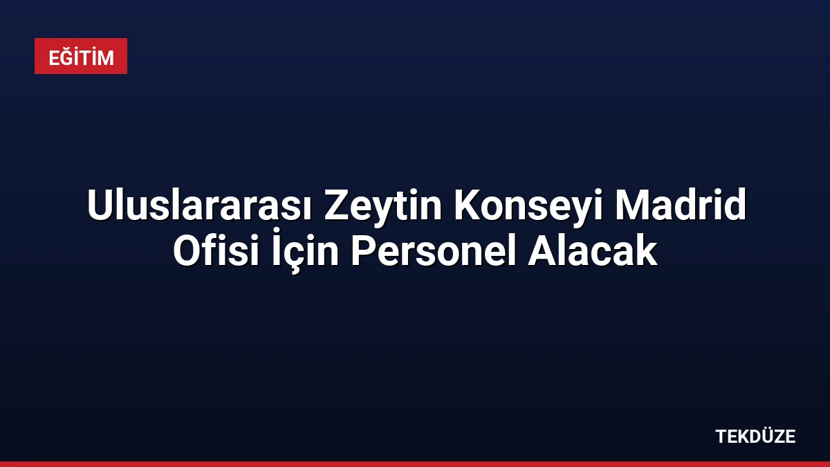 Uluslararası Zeytin Konseyi Madrid Ofisi İçin Personel Alacak