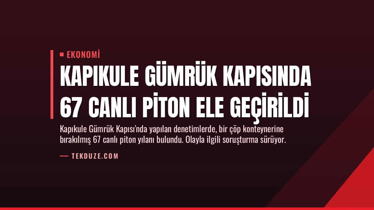 Kapıkule Gümrük Kapısında 67 Canlı Piton Ele Geçirildi