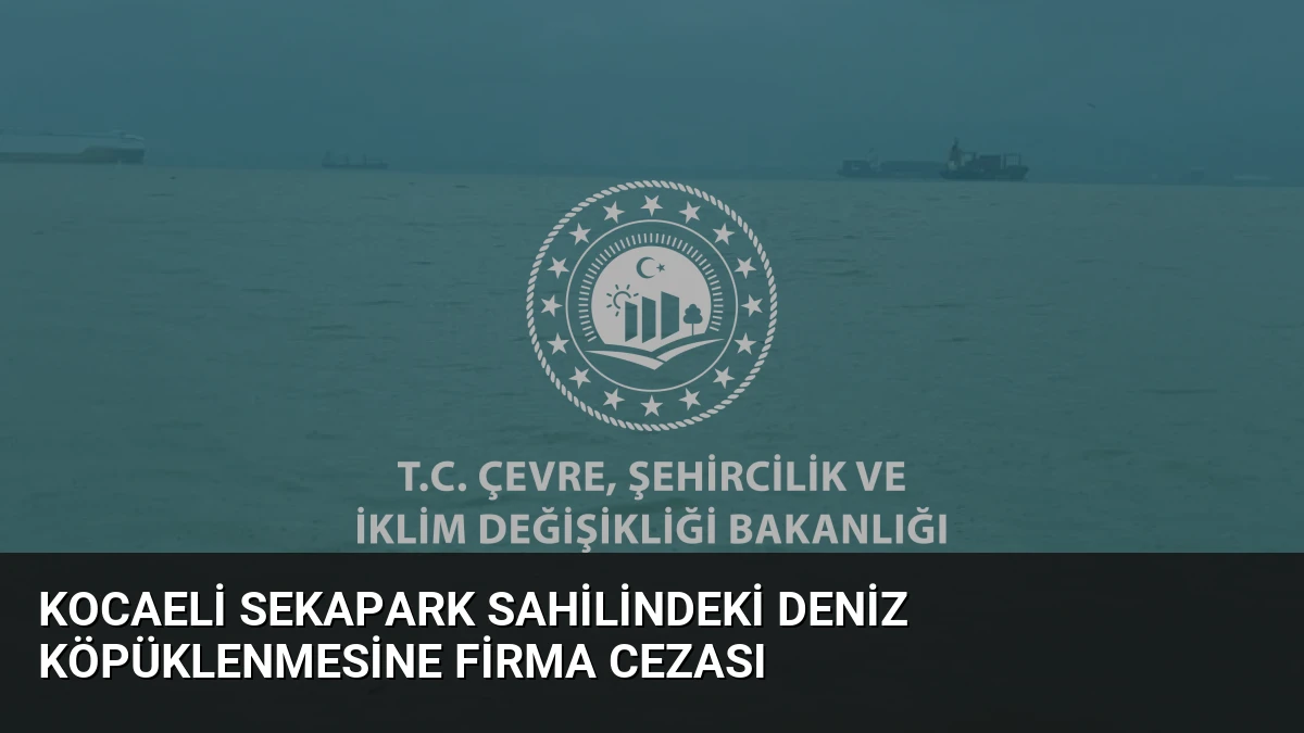Kocaeli Sekapark Sahilindeki Deniz Köpüklenmesine Firma Cezası