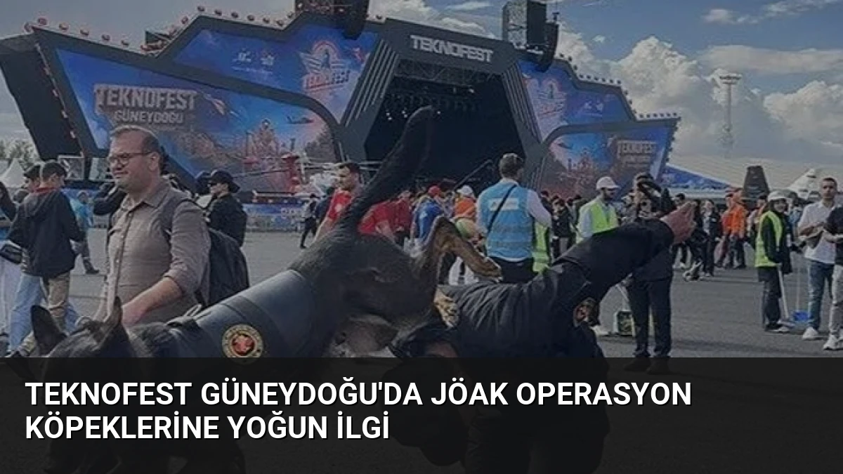 TEKNOFEST Güneydoğu’da JÖAK Operasyon Köpeklerine Yoğun İlgi